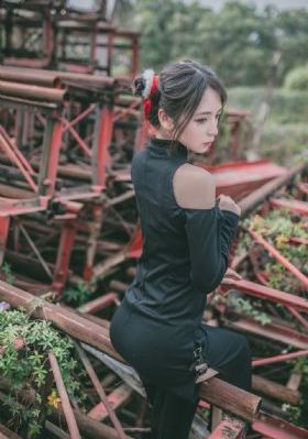 雪狼40集全免费观看